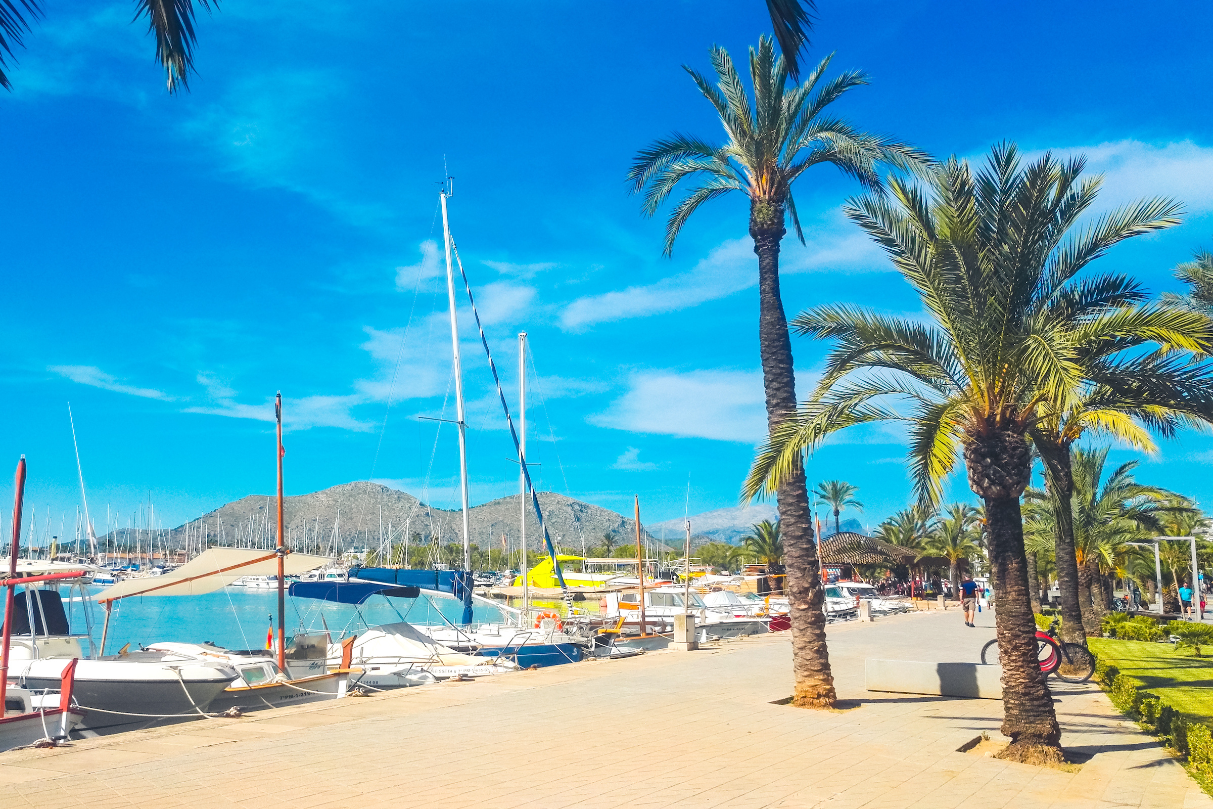 Alcudia