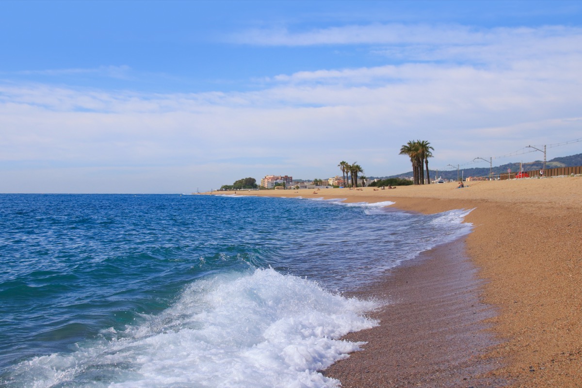Sandy beach in Barcelona with palm trees by the Mediterranean