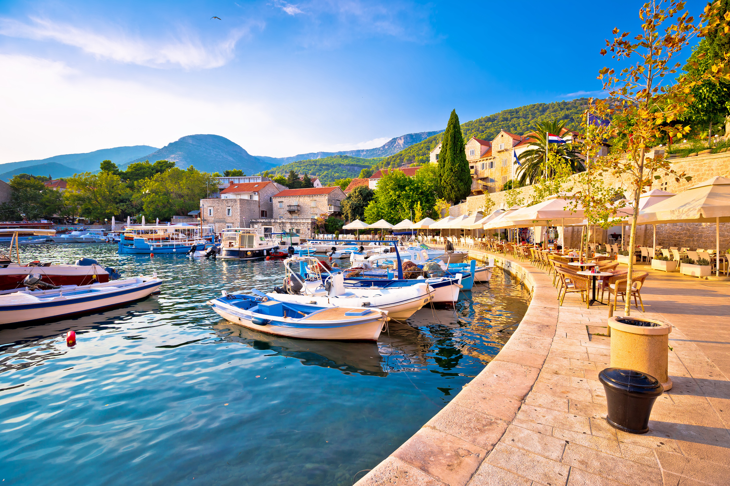 Brac