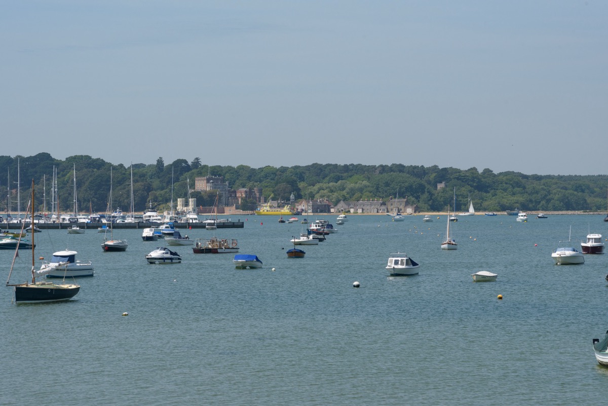 Sweeping view over Poole Harbour with numerous sailboats and motor yachts