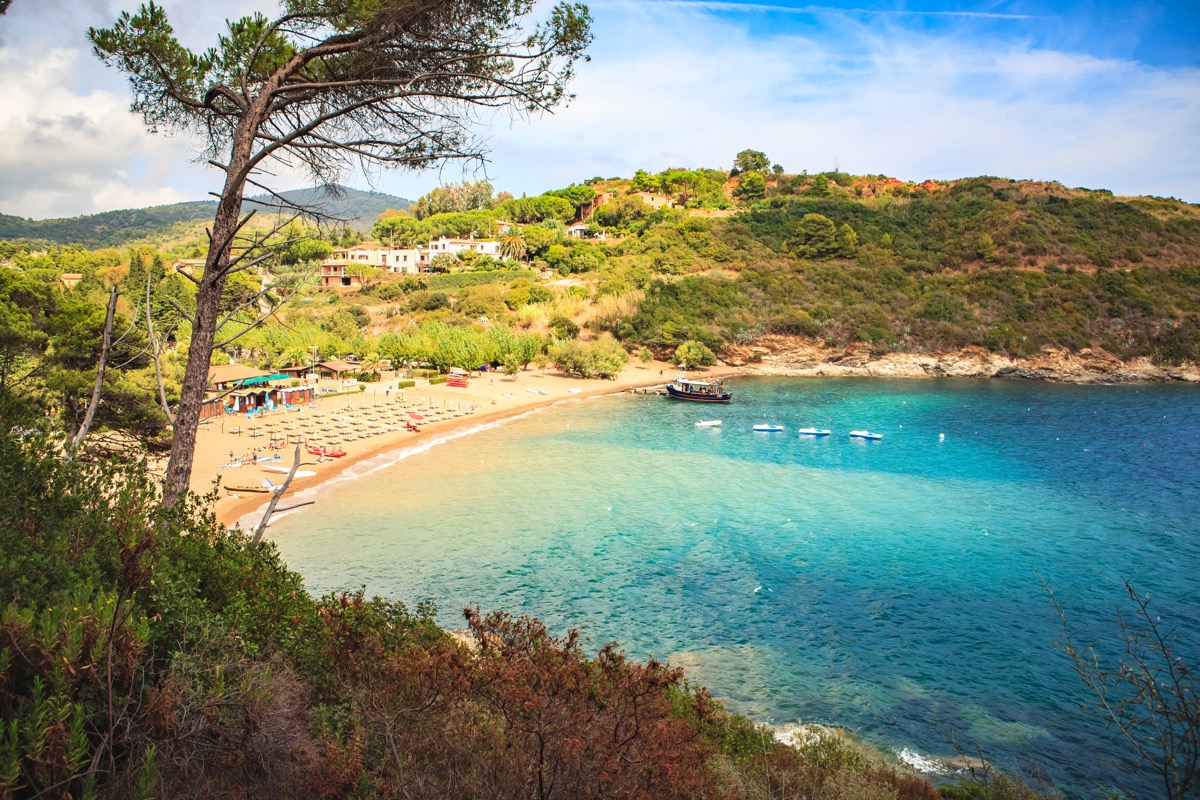 A quiet bay on the island of Elba with turquoise water, a small sandy beach and green pine vegetation on the hillside