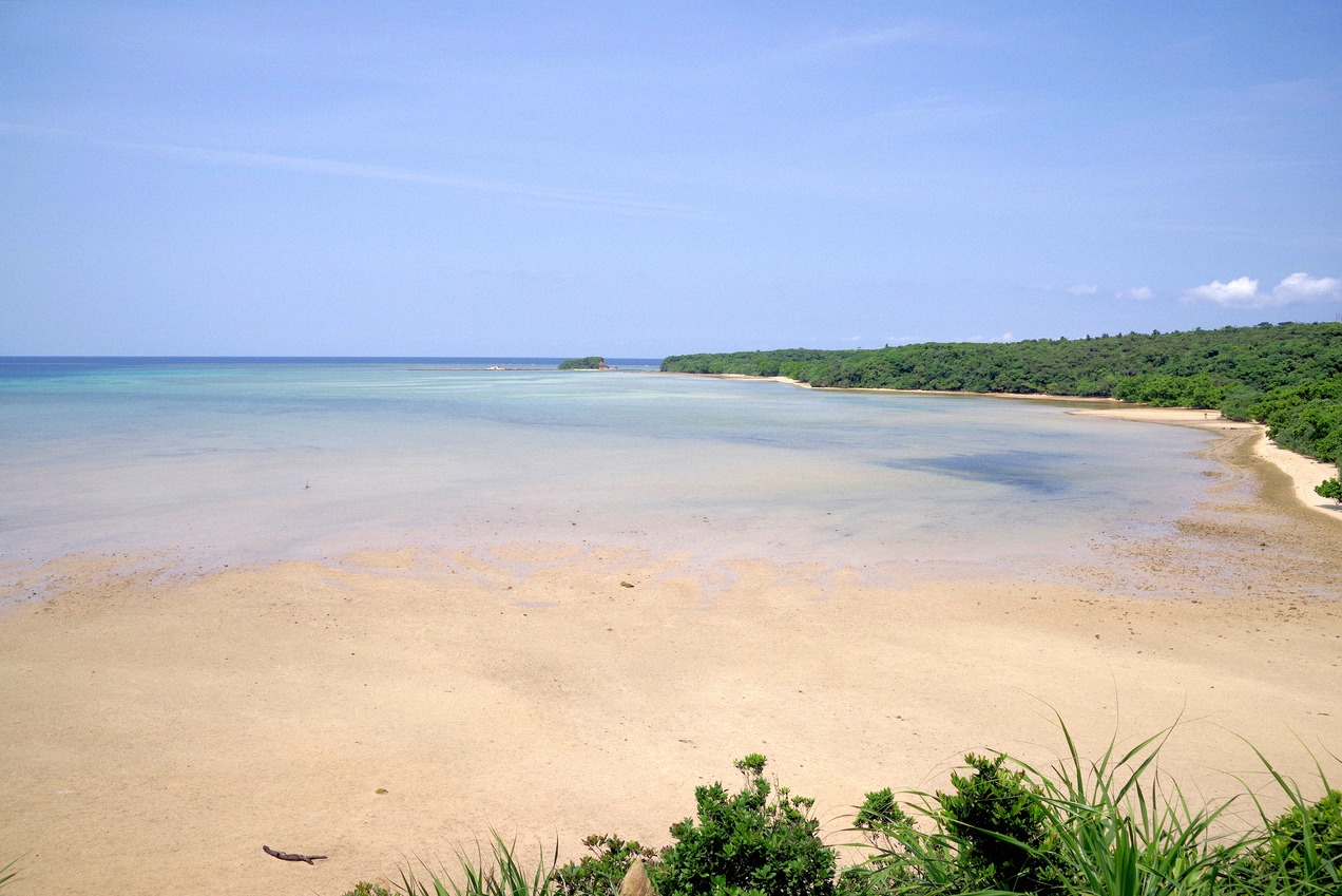 Küste der Insel Iriomote mit Mangrovenwald, nahe Kuroshima