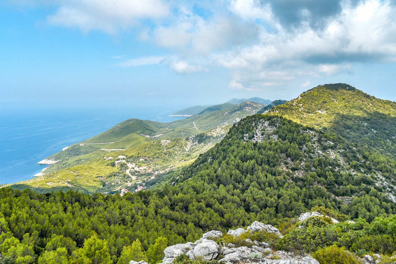 Bergige Küste der Insel Mljet