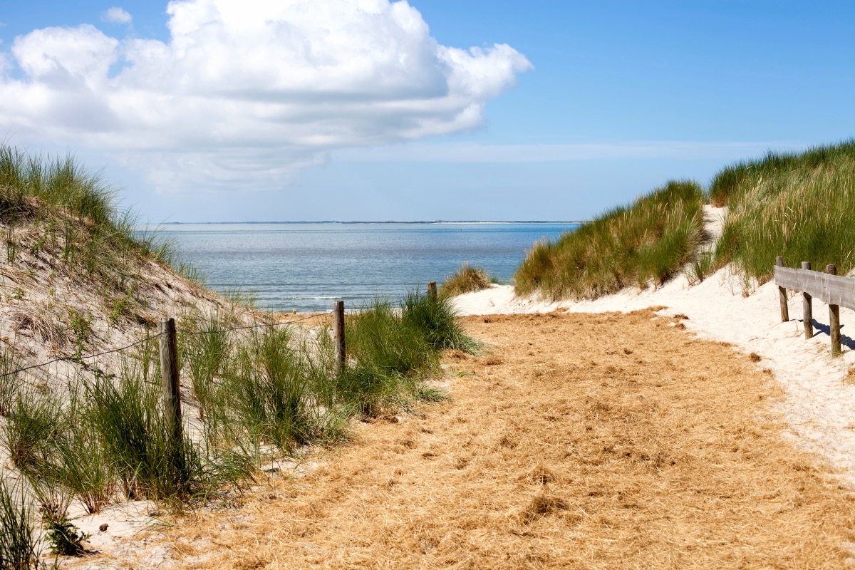 Sandy path through vegetated dunes on the island of Ameland, overlooking the calm North Sea