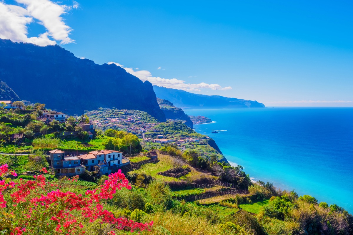 Breathtaking panorama of Madeira's north coast with steep terraced fields and blooming bougainvillea