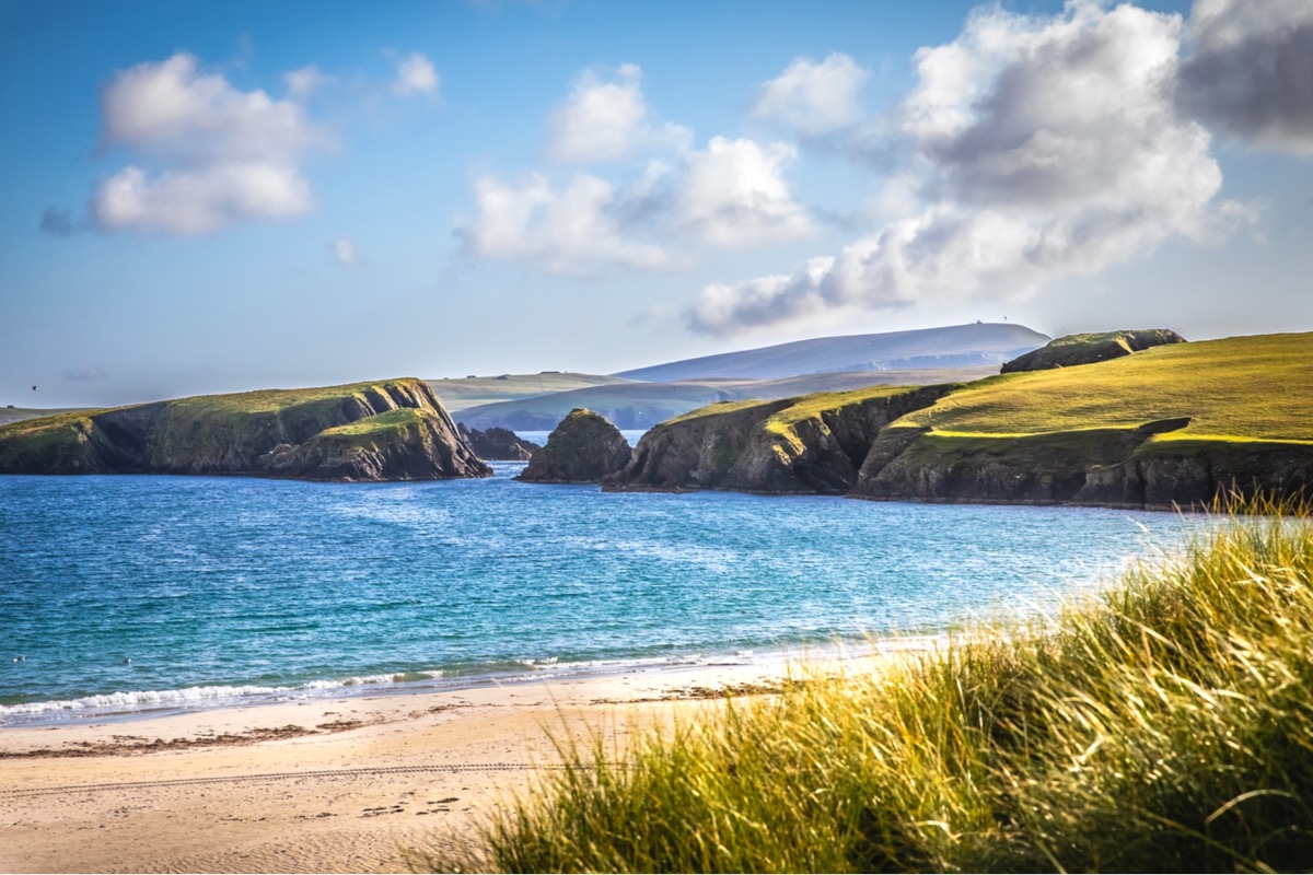 Secluded sandy cove on the coast of the Shetland Islands with green cliffs