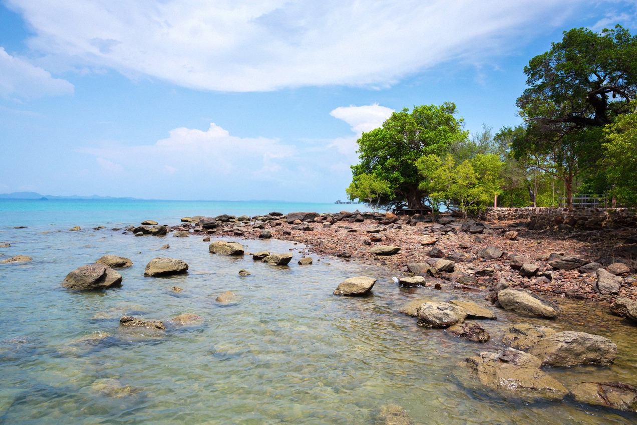 Felsige Küste von Koh Mak mit Mangrovenbaum im türkisblauen Wasser
