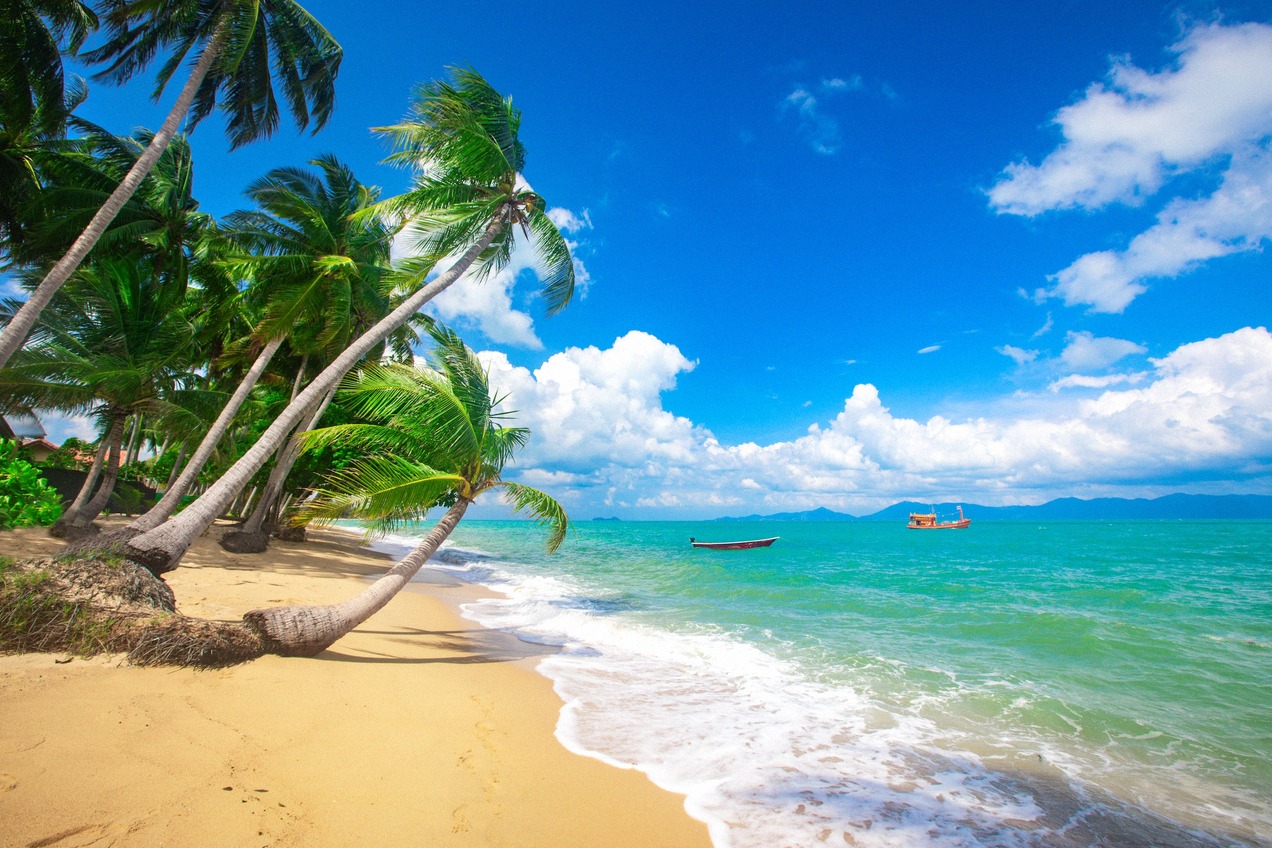 Ferries to Samui Airport