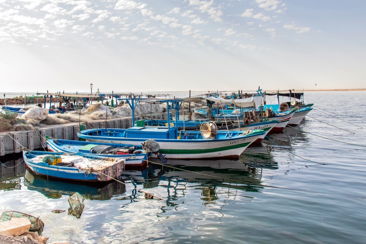 Ferries to Zarzis