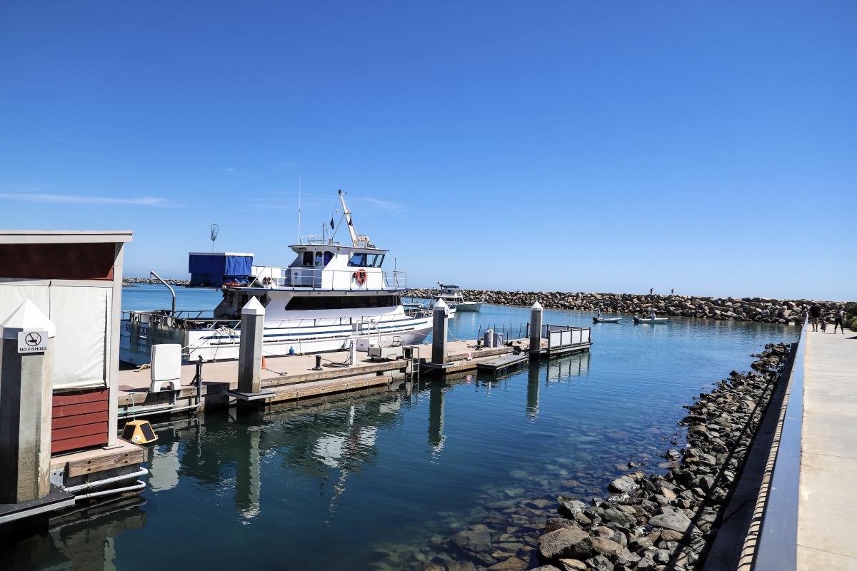Ferries to Dana Point