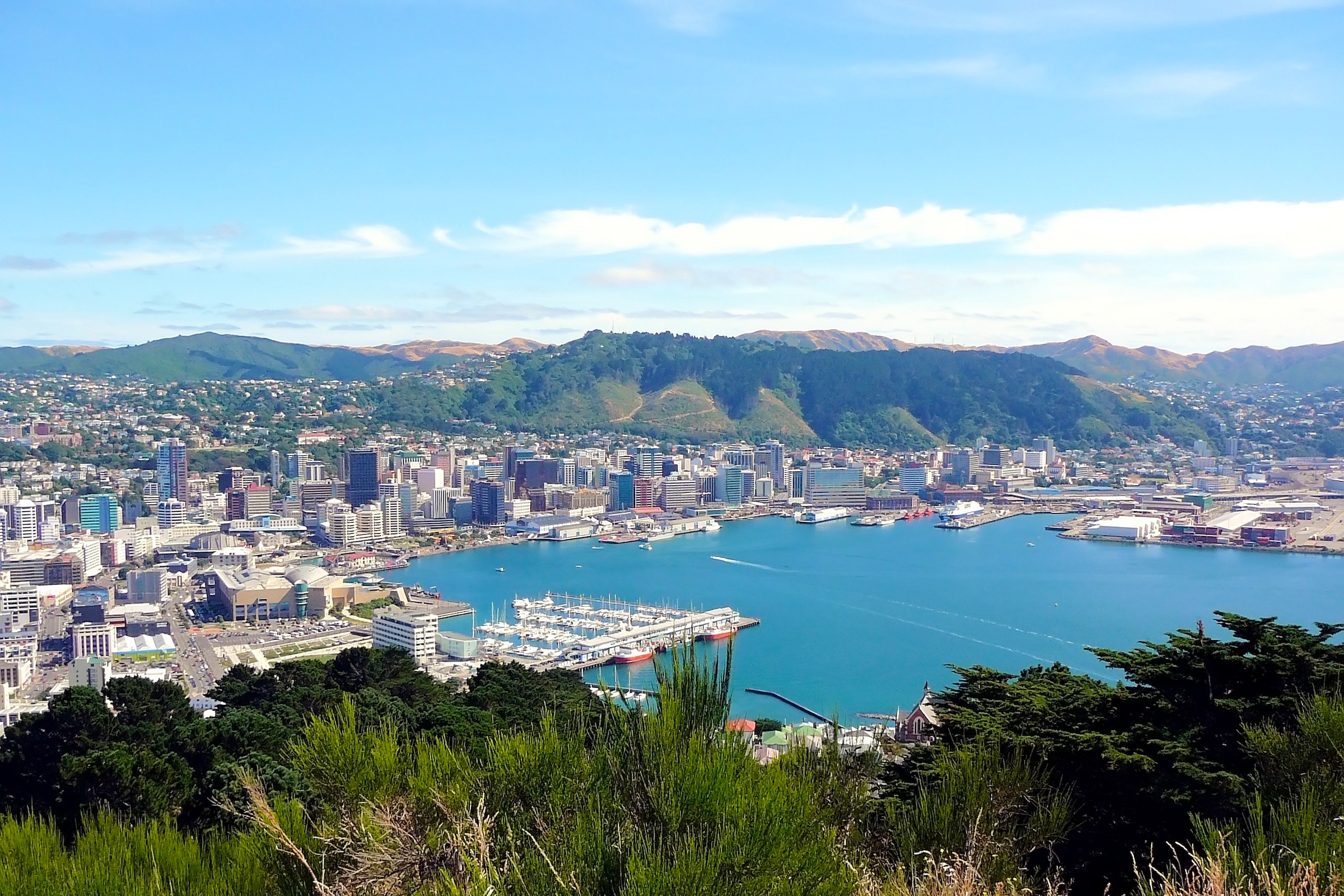Wellington